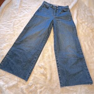 Zara Denim Wide Leg Jeans in Classic Blue